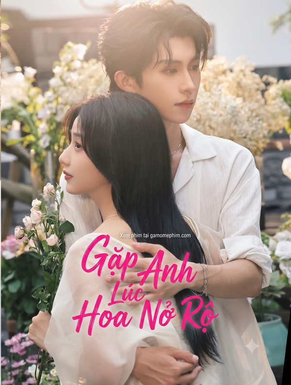 Gặp Anh Lúc Hoa Nở Rộ